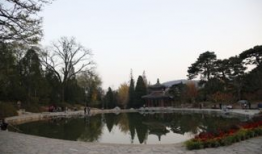 台湾麻豆镇,历史古韵与现代活力的交融之地