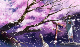 漫画樱花,春日里的浪漫诗篇